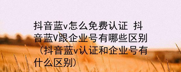 抖音蓝v认证的免费与收费区别（了解抖音蓝v认证的不同类型及申请条件）