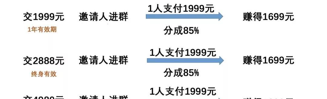 抖音团长和淘宝团长的区别（深入剖析抖音团长和淘宝团长的不同之处）