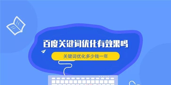 优化的实际效果分析（从SEO角度分析优化的必要性和实现方法）