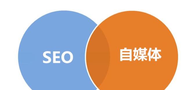 SEO网站优化（探讨SEO优化的现状和未来趋势）