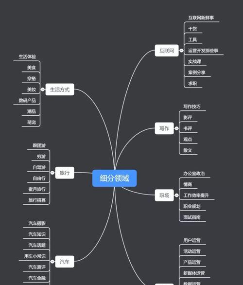 抖音付费推广效果解析（从关键指标到实际效果）