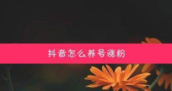 抖音新手养号攻略（从零开始）