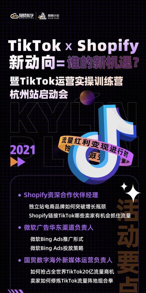 tiktok变现攻略，从入门到精通（掌握变现技巧）