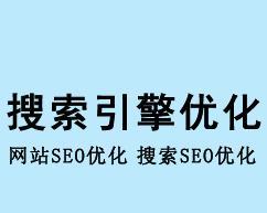 如何进行网站SEO优化（掌握SEO技巧）