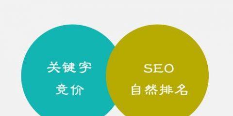 百度SEO排名优化技巧，轻松提升网站排名（掌握百度SEO快速排名优化方法）