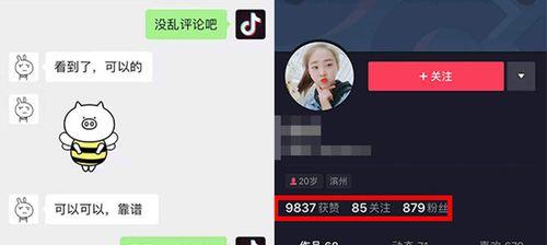 抖音上热门的十大技巧是什么？如何有效提升视频曝光率？