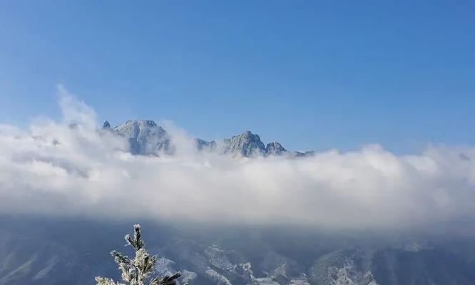 武夷山网站建设有哪些特色？如何利用地域优势进行网站建设？